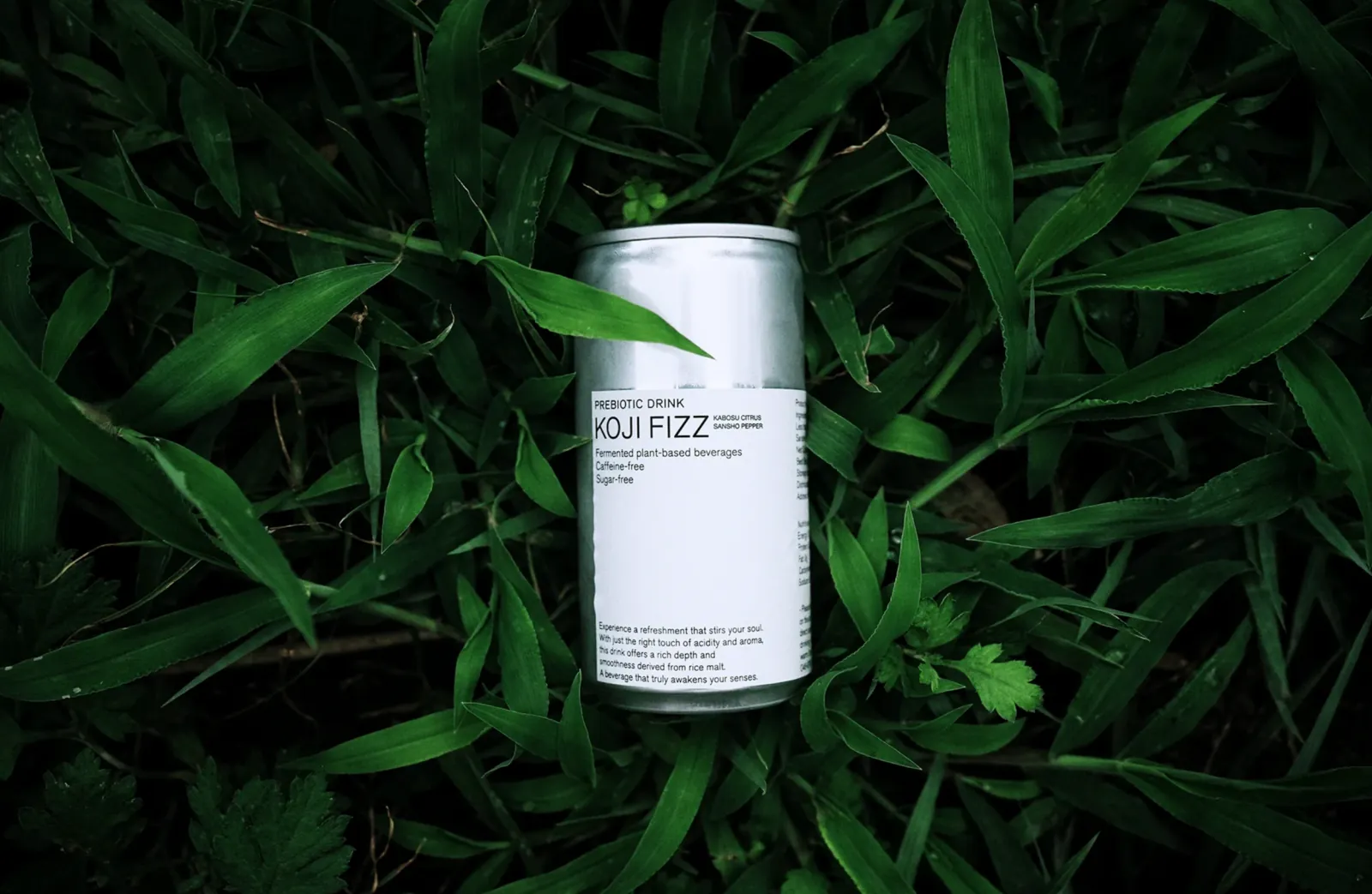 A can of KOJI FIZZ photographed among deep green leaves