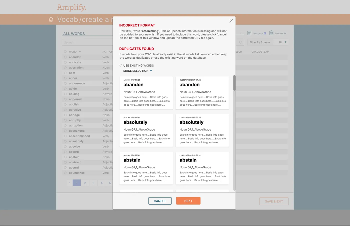 Vocab CSV validation dialog identifying an incorrect row and duplicate words side by side